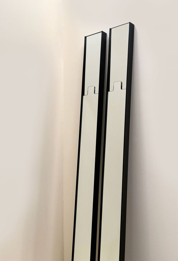 “Gronda” Mirror and Coat Rack by Luciano Bertoncini, 1970's