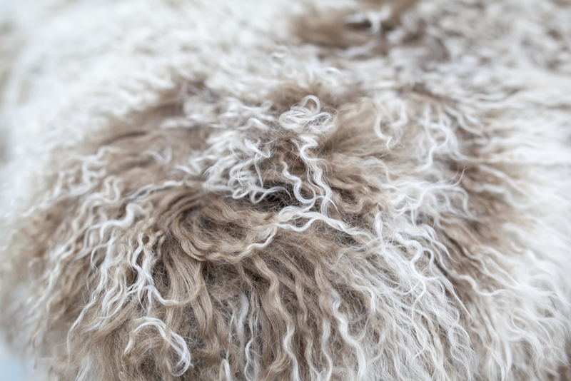 Mongolian Sheepskin Ottoman, Grey